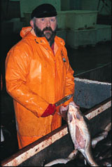 A fisherman gutting his catch.